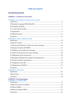Amelioration de l'efficience d'un processus semi automatique