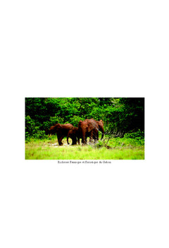 La Production touristique au Gabon