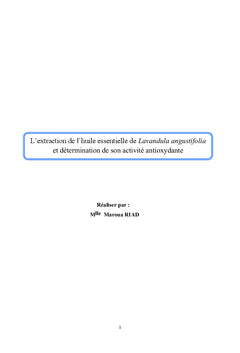 L'extraction de l'huile essentielle de Lavandula angustifolia.
