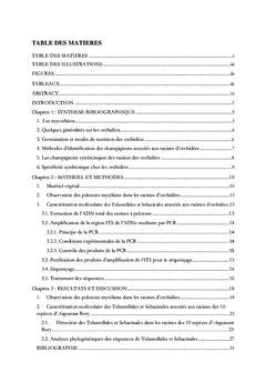 Les espèces d'orchidees epiphytes du genre Angraecum Bory