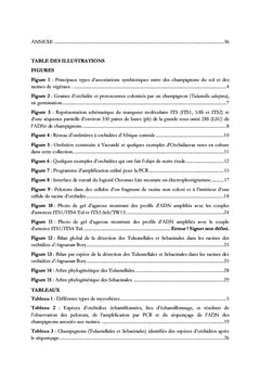 Les espèces d'orchidees epiphytes du genre Angraecum Bory