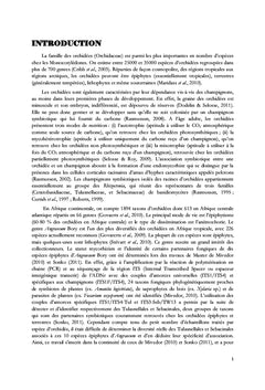 Les espèces d'orchidees epiphytes du genre Angraecum Bory