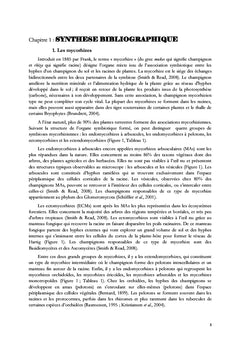 Les espèces d'orchidees epiphytes du genre Angraecum Bory