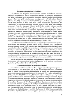 Les espèces d'orchidees epiphytes du genre Angraecum Bory