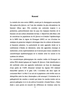 La cercosporiose noire du bananier dans la région de Kisangani(RDC)