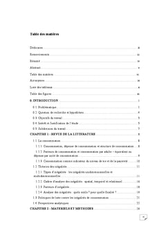 Analyse des inégalités de dépenses de consommation en milieux ruraux