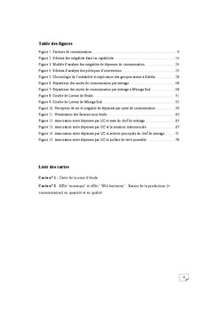 Analyse des inégalités de dépenses de consommation en milieux ruraux