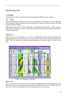 Reservoir Properties and DeveloPMEnt Planning of Platina Oilfield, Offshore Angola, West Africa