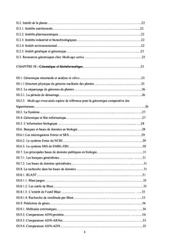 Etude de la Tolérance à la Salinité chez la Luzerne "Medicago"