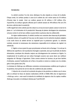 Etude de la Tolérance à la Salinité chez la Luzerne "Medicago"