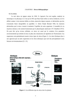 Etude de la Tolérance à la Salinité chez la Luzerne "Medicago"
