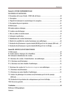 Bactéries multirésistantes dans l'environnement