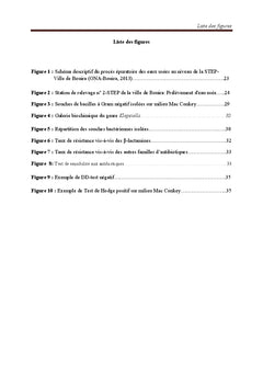 Bactéries multirésistantes dans l'environnement