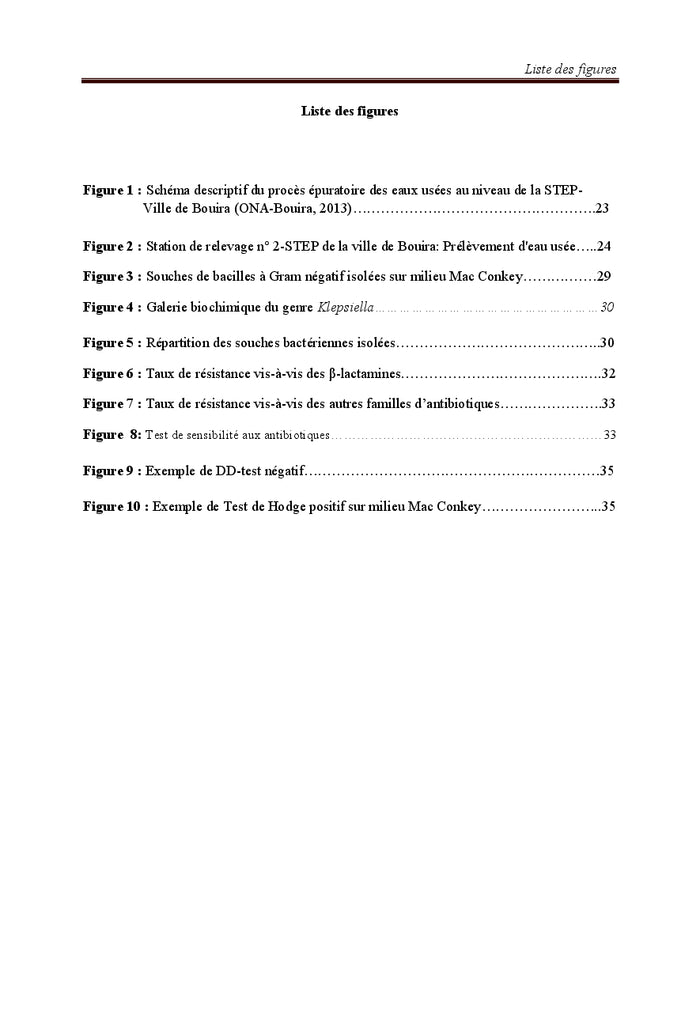 Bactéries multirésistantes dans l'environnement