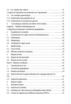 La dynamique temporelle de l'épidémie d'helminthosporiose du blé dur