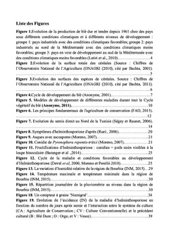 La dynamique temporelle de l'épidémie d'helminthosporiose du blé dur