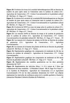 La dynamique temporelle de l'épidémie d'helminthosporiose du blé dur