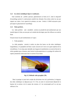Etude de l'interaction du couple ' massif rocheux- soutènement '