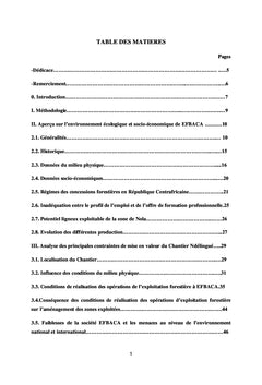 Analyse des Contraintes actuelles de l'entreprise eFBACA