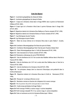 Evaluation géopetrolière du champ de Oudna dans le golfe de Hammamet