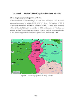Evaluation géopetrolière du champ de Oudna dans le golfe de Hammamet