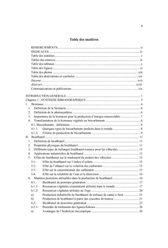Production de bioethanol par fermentation alcoolique des jus de fruits