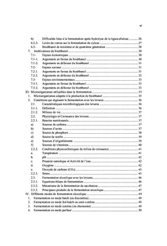 Production de bioethanol par fermentation alcoolique des jus de fruits