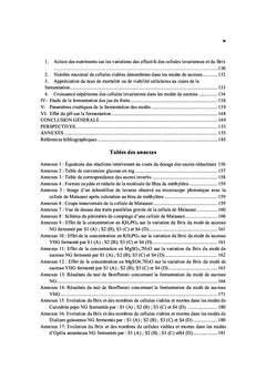 Production de bioethanol par fermentation alcoolique des jus de fruits
