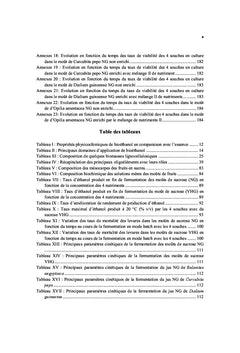 Production de bioethanol par fermentation alcoolique des jus de fruits