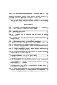 Production de bioethanol par fermentation alcoolique des jus de fruits