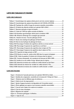 Dynamique de l'emergence des conflits d'usage