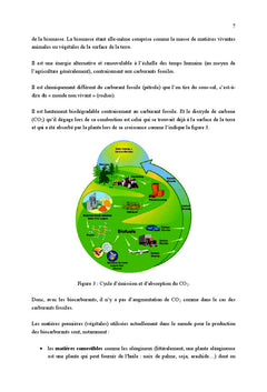 Comprendre les Biocarburants