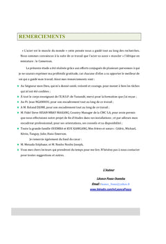 Etude de prefaisabilite pour l'emergence d'une industrie siderurgique