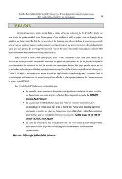 Etude de prefaisabilite pour l'emergence d'une industrie siderurgique