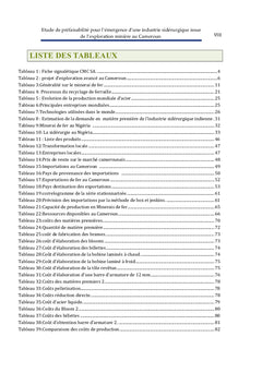 Etude de prefaisabilite pour l'emergence d'une industrie siderurgique