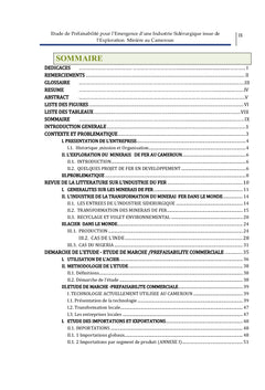 Etude de prefaisabilite pour l'emergence d'une industrie siderurgique