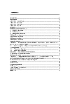 Evaluation des impacts socio-environnementaux d'un projet