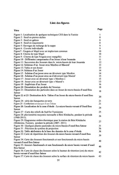 Transformation et durabilite des systemes hydro-agricoles en Tunisie