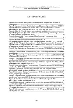 L'intoxication par le Monoxyde de Carbone A la region de Fes-Boulemane