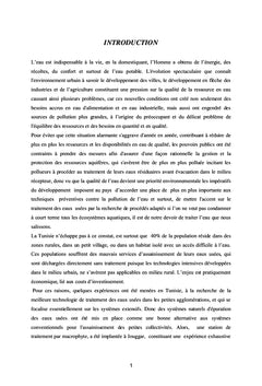 Epuration des eaux usées par Macrophytes