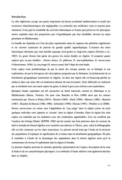 Dentex Maroccanus : le plus énigmatique des dentis du bassin algérien
