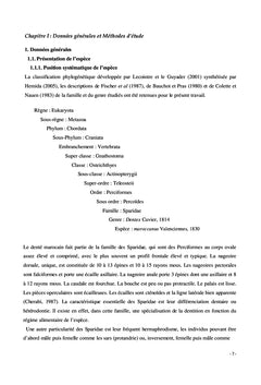 Dentex Maroccanus : le plus énigmatique des dentis du bassin algérien