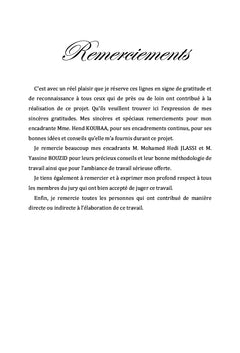 Outil de generation des analyses de couverture radio