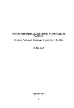 Plaques Composites A base de Fibres en Nanotubes de Carbone