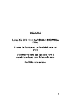 Les Infractions dans le secteur de l'Electricité