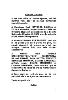 Les Infractions dans le secteur de l'Electricité