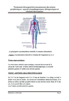 Traitement des traumatismes artériels périphériques