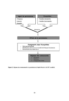 La dynamique des zones humides temporaires et perturbations