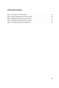 Etude comparative de trois graminées tropicales sur deux saisons