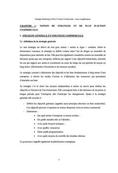 Stratégie marketing